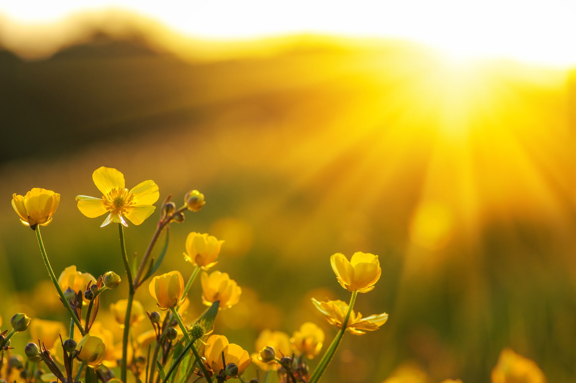 Lichtwerk met Khuya’s: De Illuminatie Techniek