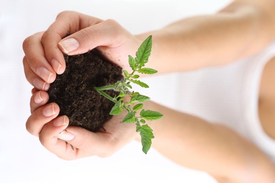 Buikgebied Reinigen met Aarde-Energie